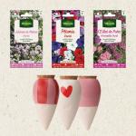 Kit de jardinage - Kit semis de 3 fleurs + Trio Mini Ollas - face recto